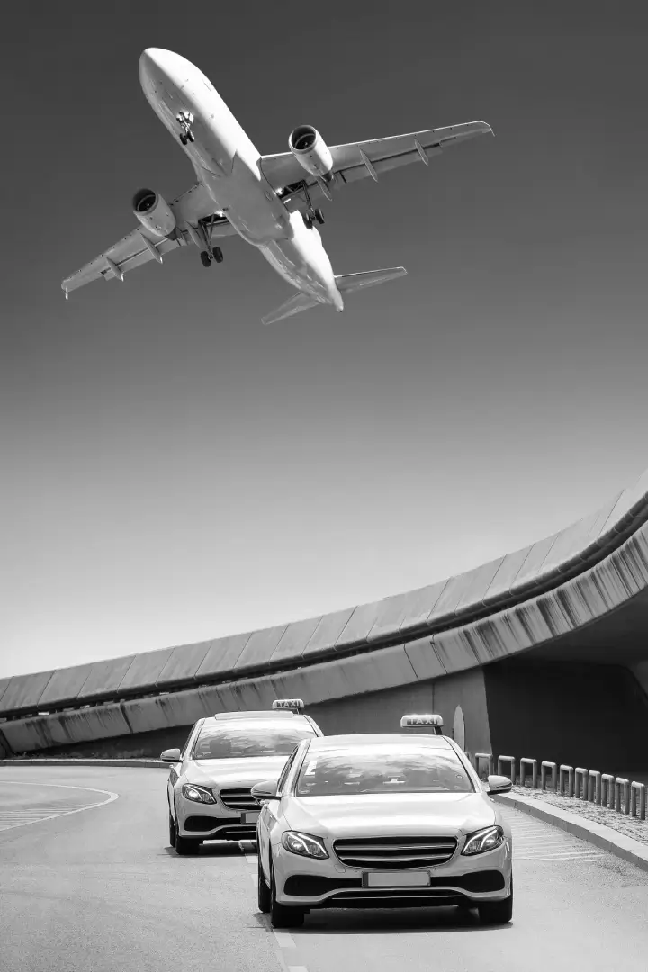 avion avion